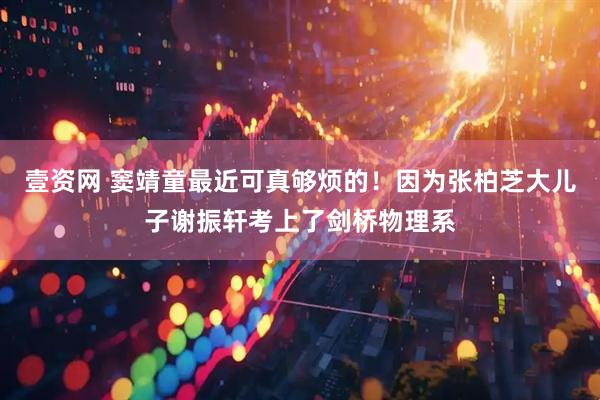 壹资网 窦靖童最近可真够烦的！因为张柏芝大儿子谢振轩考上了剑桥物理系